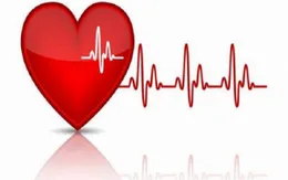 Khám sàng lọc bệnh lý tim mạch miễn phí cho người lớn và trẻ em tại Phú Thọ