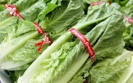 Bùng phát khuẩn E.coli tại Mỹ, gần 200 người nhập viện