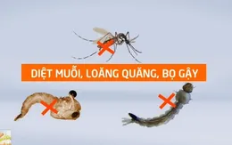 Cách phòng bệnh sốt xuất huyết hiệu quả khi bệnh vào mùa