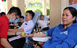 Ngày hội hiến máu 'Giọt hồng đất Mũi"