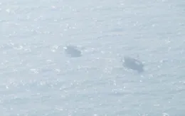 Tàu Hồng Kông (Trung Quốc) cứu được 3 ngư dân Việt Nam bị chìm tàu