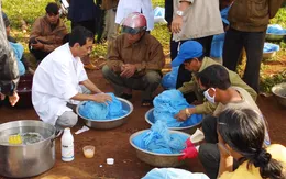 Gia Lai: Gia tăng ca mắc sốt rét