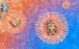 Virus Herpes có thể là nguyên nhân chính gây nên bệnh Alzheimer