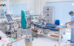 Hơn 53.500 trường hợp mắc tay chân miệng trên toàn quốc