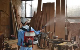 Tiềm ẩn nhiều nguy cơ bùng phát dịch sốt xuất huyết