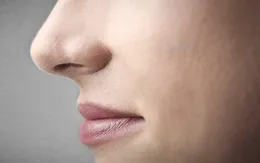 Chiếc mũi thính giúp ích cho đời sống tình dục