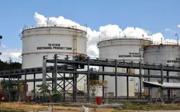 12 đại dự án thua lỗ sẽ được xử lý xong vào năm 2020