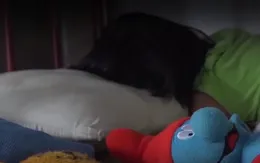 Đề xuất quy trình xử lý các trường hợp trẻ em bị bạo lực, xâm hại