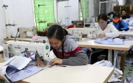 Tư vấn hướng nghiệp: "Tình tay tư" giữa người lao động, cơ sở đào tạo, doanh nghiệp và Nhà nước