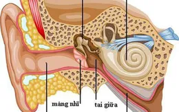 Những kiến thức mẹ cần biết để phát hiện sớm viêm tai giữa ở trẻ