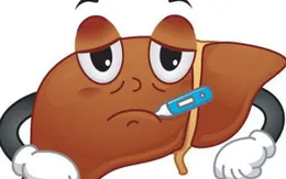Mụn nhọt, mẩn ngứa, nóng trong, biểu hiện của nhiễm độc gan