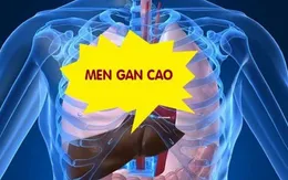Men gan cao và những điều bạn chưa biết