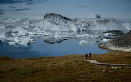 Ngắm vẻ đẹp siêu thực của vịnh băng Ilulissat
