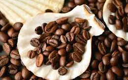 Ngửi mùi cà phê giúp cơ thể tỉnh táo mà không cần nạp caffeine