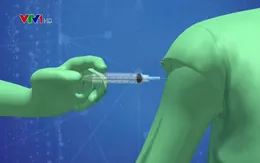 Tiêm phòng cúm không ảnh hưởng đến sức khỏe của thai phụ và em bé