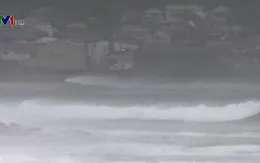 Bão Jongdari đổ bộ Nhật Bản, ít nhất 16 người bị thương