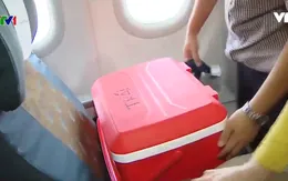 Hỗ trợ vận chuyển mô tạng bằng đường hàng không