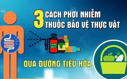 Những nguy cơ phơi nhiễm thuốc bảo vệ thực vật