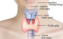 11 triệu chứng của bệnh tuyến giáp không ngờ tới