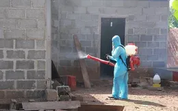 Phát hiện ổ dịch cúm A/H1N1 tại Đăk Lăk