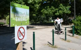 Pháp: Strasbourg tiên phong cấm thuốc lá trong công viên công cộng
