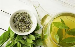 Tinh chất quý từ trà xanh hữu ích với bệnh nhân tiểu đường