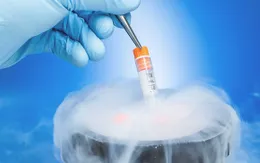 Đông lạnh trứng để sinh con có phải là giải pháp chắc chắn?
