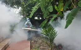 Hà Nội: Phun hóa chất diệt muỗi phòng bệnh vùng ngập úng