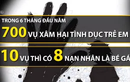 Phát hiện hơn 700 vụ xâm hại tình dục trẻ em trong 6 tháng