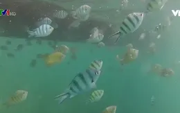 Công viên biển đầu tiên tại Campuchia