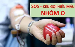 Khẩn cấp kêu gọi hiến nhóm máu O