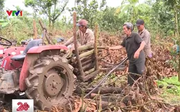 Bất thường trong hỗ trợ mất mùa cho bà con ở Đồng Nai