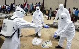 Đại dịch Ebola tiếp tục hoành hành ở Congo, 44 người thiệt mạng