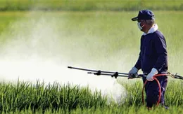 Thêm một nguyên nhân khiến tỷ lệ tự kỷ ở trẻ gia tăng