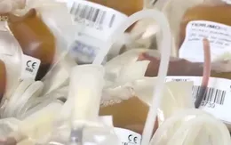 Thiếu trầm trọng nhóm máu O cho điều trị