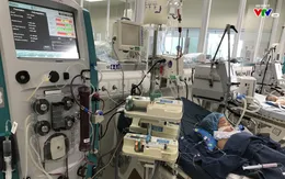 3 trẻ nhập viện nguy kịch do bị ong đốt