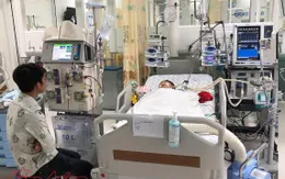 Xử lý khi bị ong đốt để không ảnh hưởng đến tính mạng