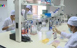 Giá vaccine cúm mùa của Việt Nam bằng 1/3 giá nhập khẩu