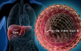 Từ A-Z những điều cần biết về viêm gan B