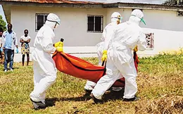 WHO cảnh báo nguy cơ lây lan virus Ebola tại châu Phi
