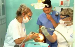 Tổ chức Bác sĩ không biên giới khám chữa răng miễn phí ở Mông Cổ