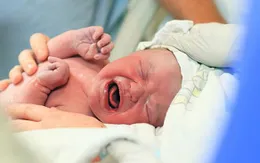Brazil: Bà mẹ liếm đầu con khi vừa chào đời