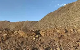 Chất độc từ đào vàng đe dọa tính mạng người dân tại Johannesburg, Nam Phi