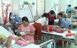 TP.HCM: Thông tin về tình hình dịch bệnh tay chân miệng
