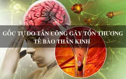 Gốc tự do - Nguy cơ tiềm ẩn của đột quỵ