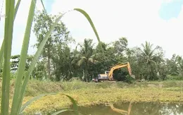 Phá rẫy mía, đào ao nuôi thủy sản