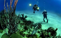 Phát hiện dấu chân lạ cách bề mặt đại dương gần 4km