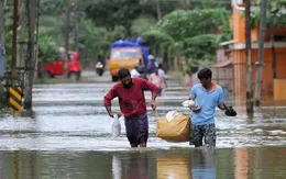 Ấn Độ: Bệnh dịch hoành hành tại bang Kerala sau lũ lụt