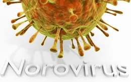Bùng phát norovirus khiến 600 học sinh phải nghỉ học tại Mỹ