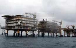 Mỹ cấm khoan thăm dò dầu khí ngoài khơi bang Florida